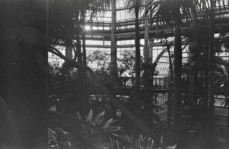 Rooted in Change: Designing a Botanical Home That Grows With You