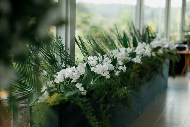 The Fleeting Acquisition: Why Affluent Americans Are Paying Thousands for Flowers They Will Never Own