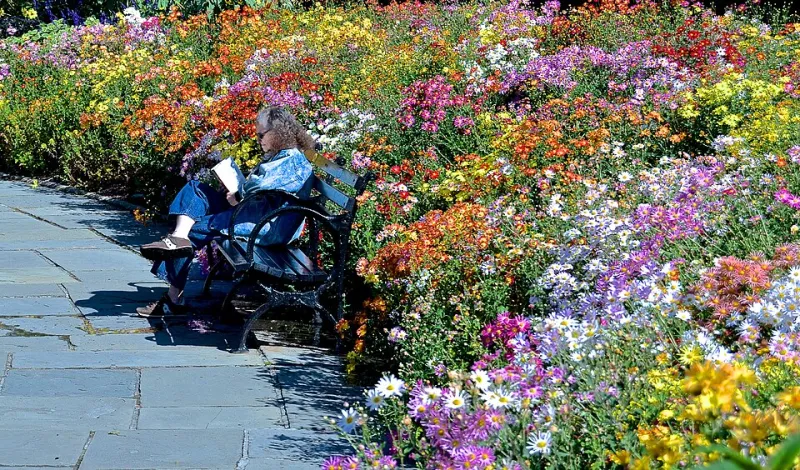 Nature's Color Authority: How Blooming Seasons Quietly Dictate America's Interior Design Palette