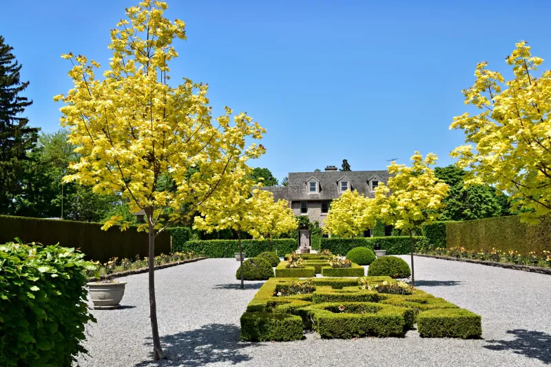 Planted in Perpetuity: How Ultra-Affluent Families Are Commissioning Botanical Legacies That Outlast Generations
