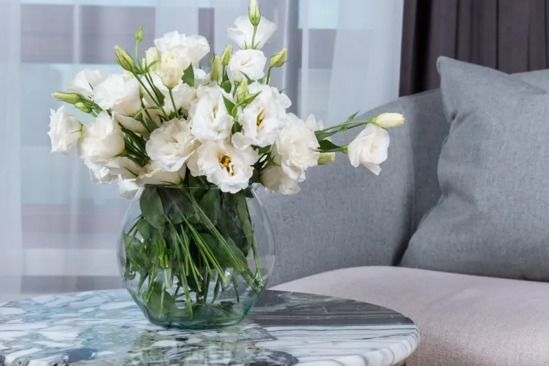 The Invisible Room: How Scent-Paired Botanicals Are Becoming the New Language of Interior Atmosphere
